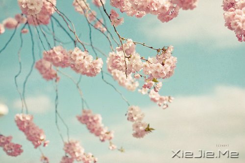 生命,只需要一个甜美的微笑 (2)