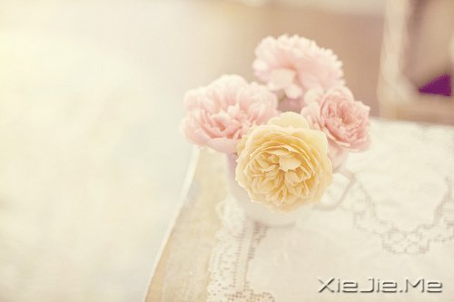 早安心语:控制好心情,生活才会处处祥和 (1)