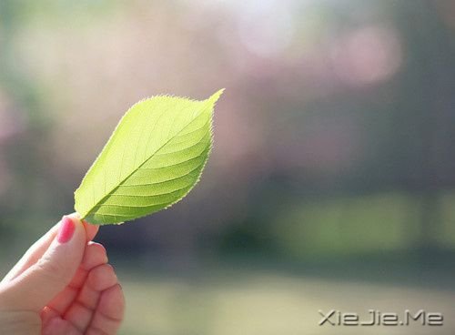 我们都一样,各自有光芒 (9)