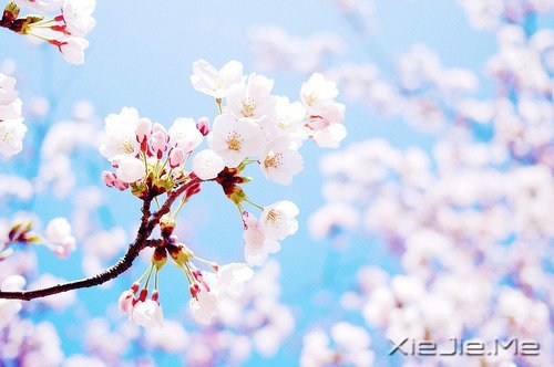 马年和自己的10个约定 (1)