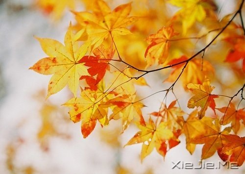 自己喜欢的日子,就是最美的日子 (9)