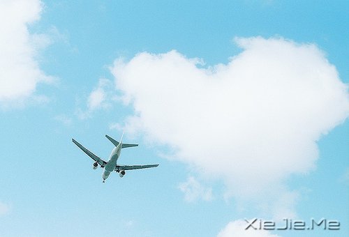 自己喜欢的日子,就是最美的日子 (11)